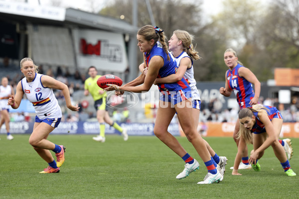 Coates League Girls 2024 Grand Final - Oakleigh Chargers v Eastern Ranges - A-54176592