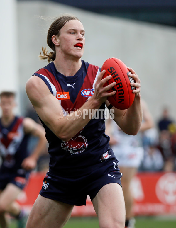 Coates League Boys 2024 Grand Final - Sandringham Dragons v GWV Rebels - A-54189744
