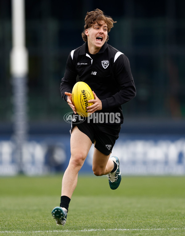 VFL 2024 Grand Final - Werribee v Southport Sharks - A-54233495