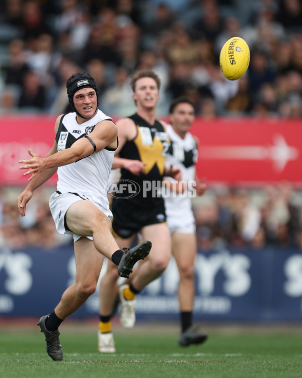 VFL 2024 Grand Final - Werribee v Southport Sharks - A-54239774