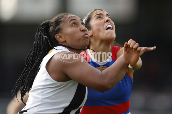 AFLW 2024 Round 04 - Collingwood v Western Bulldogs - A-54250076