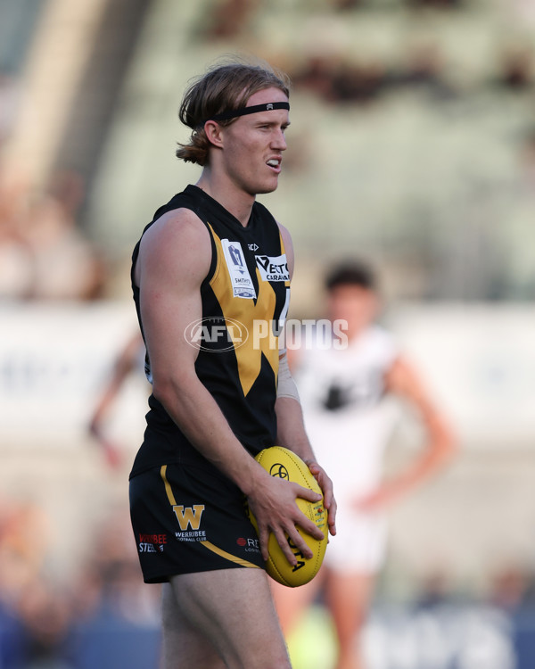 VFL 2024 Grand Final - Werribee v Southport Sharks - A-54255849