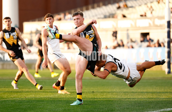 VFL 2024 Grand Final - Werribee v Southport Sharks - A-54261161