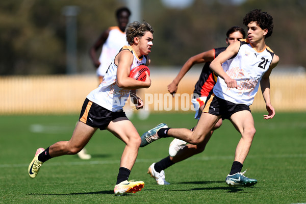 Diversity Series 2024 Match 1 - Flying Boomerangs v World Team - A-54496770