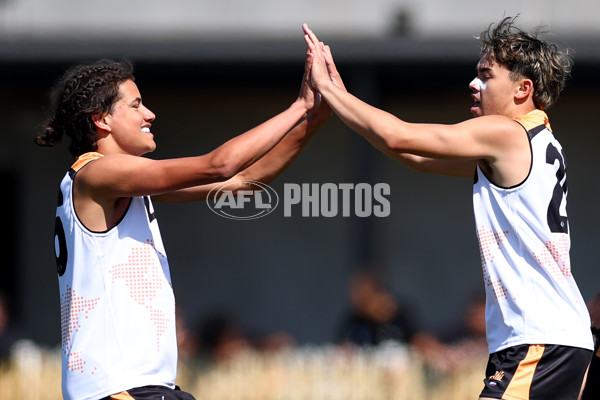Diversity Series 2024 Match 1 - Flying Boomerangs v World Team - A-54497229
