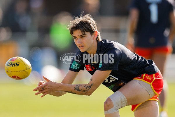 AFLW 2024 Round 06 - Hawthorn v Gold Coast - A-54559602