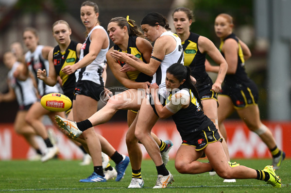 AFLW 2024 Round 06 - Richmond v Collingwood - A-55106932