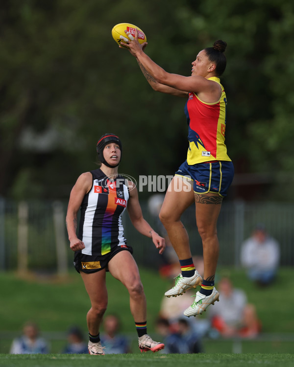 AFLW 2024 Round 08 - Collingwood v Adelaide - A-55383698