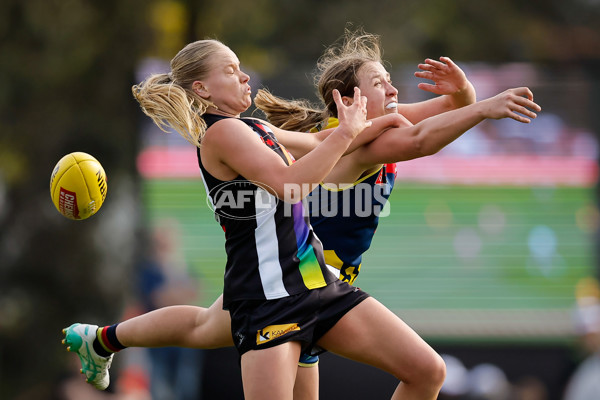 AFLW 2024 Round 08 - Collingwood v Adelaide - A-55386382