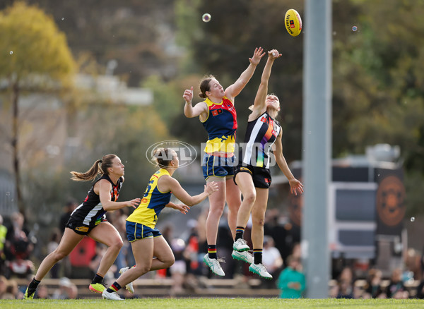 AFLW 2024 Round 08 - Collingwood v Adelaide - A-55386390