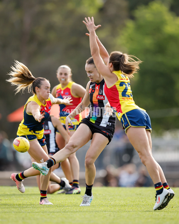 AFLW 2024 Round 08 - Collingwood v Adelaide - A-55386392