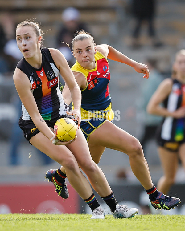 AFLW 2024 Round 08 - Collingwood v Adelaide - A-55386394
