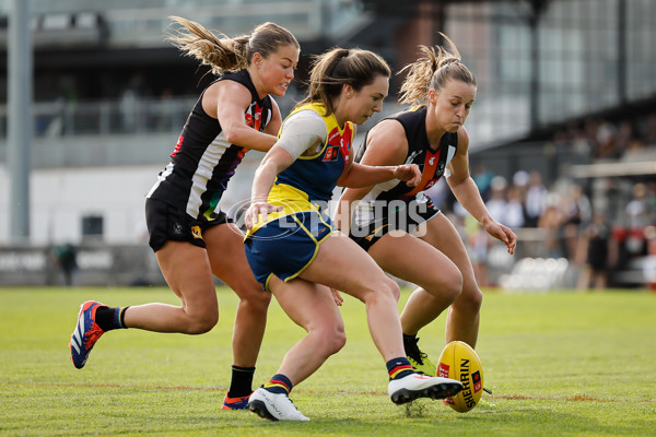 AFLW 2024 Round 08 - Collingwood v Adelaide - A-55386425