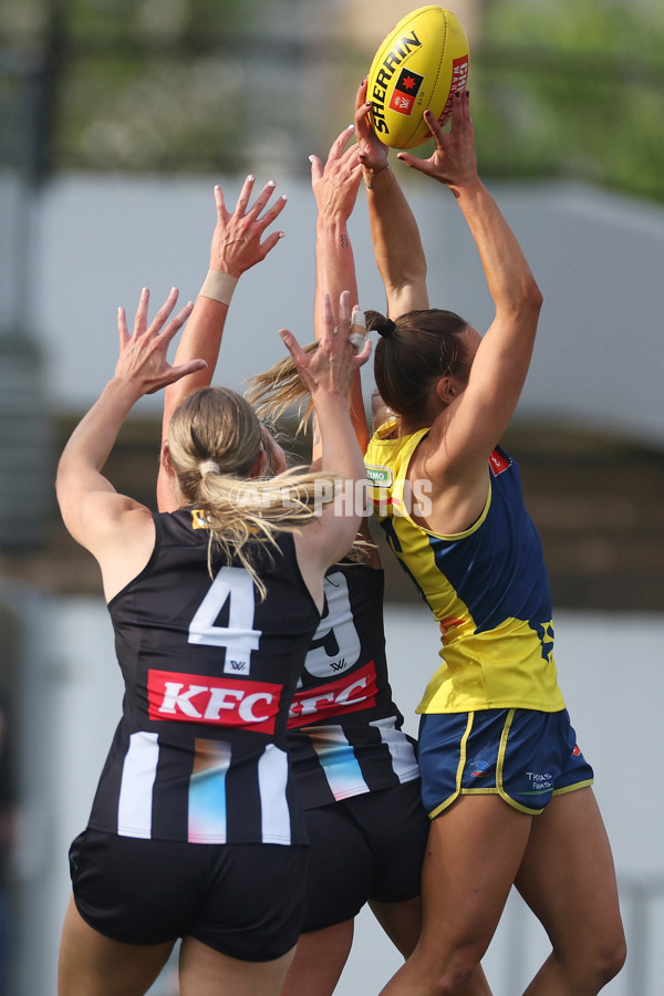 AFLW 2024 Round 08 - Collingwood v Adelaide - A-55386452