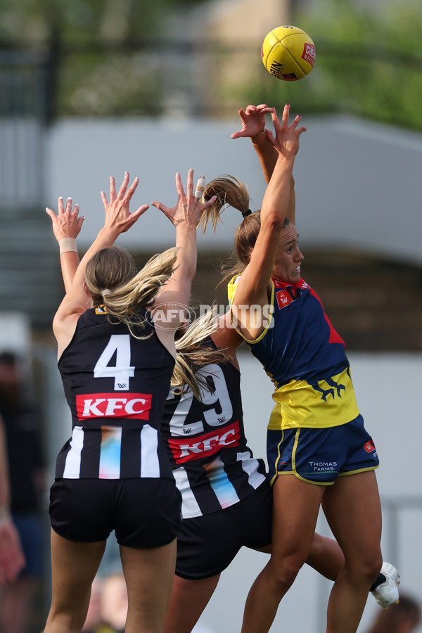 AFLW 2024 Round 08 - Collingwood v Adelaide - A-55387312
