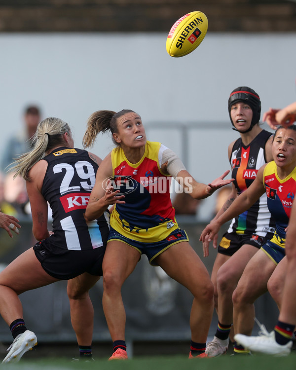 AFLW 2024 Round 08 - Collingwood v Adelaide - A-55387315