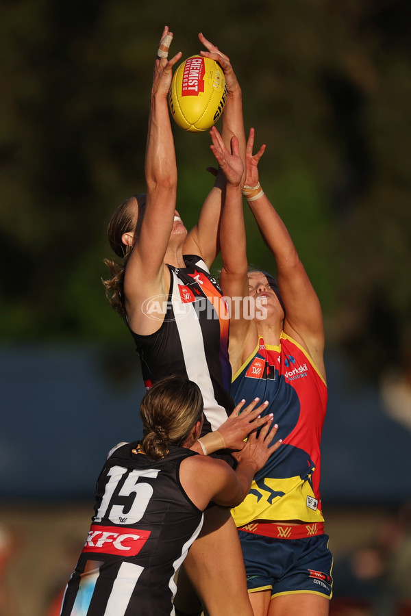 AFLW 2024 Round 08 - Collingwood v Adelaide - A-55388982