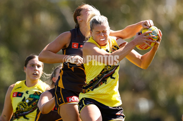AFLW 2024 Round 10 - Richmond v Hawthorn - A-55585553