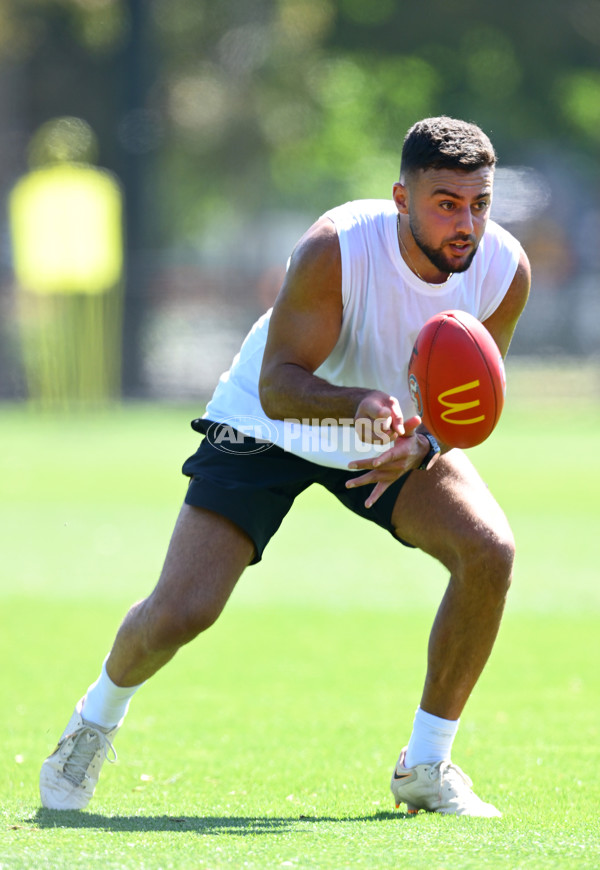 AFL 2024 Training - Melbourne 111124 - A-55673764