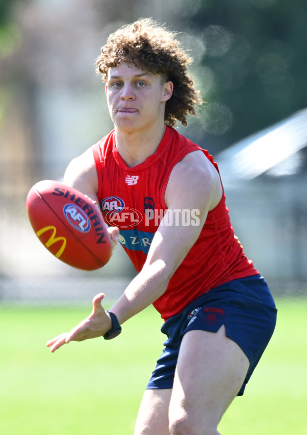 AFL 2024 Training - Melbourne 111124 - A-55690602