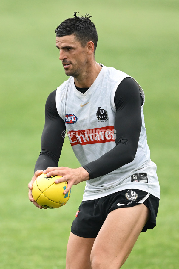 AFL 2024 Training - Collingwood 261124 - A-55797996