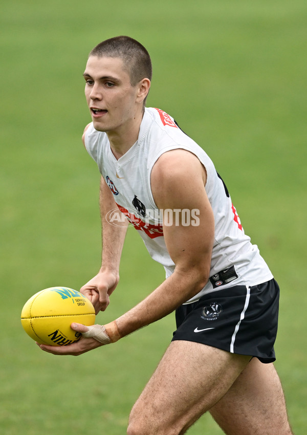 AFL 2024 Training - Collingwood 261124 - A-55800836