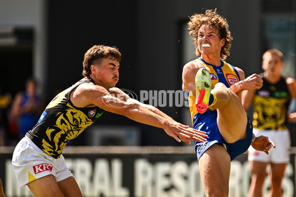 AFL 2025 Match Simulation - West Coast v Richmond - A-57492392
