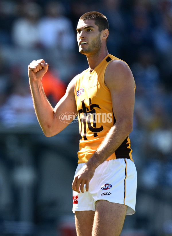 AFL 2025 Match Simulation - Geelong v Hawthorn - A-57496749