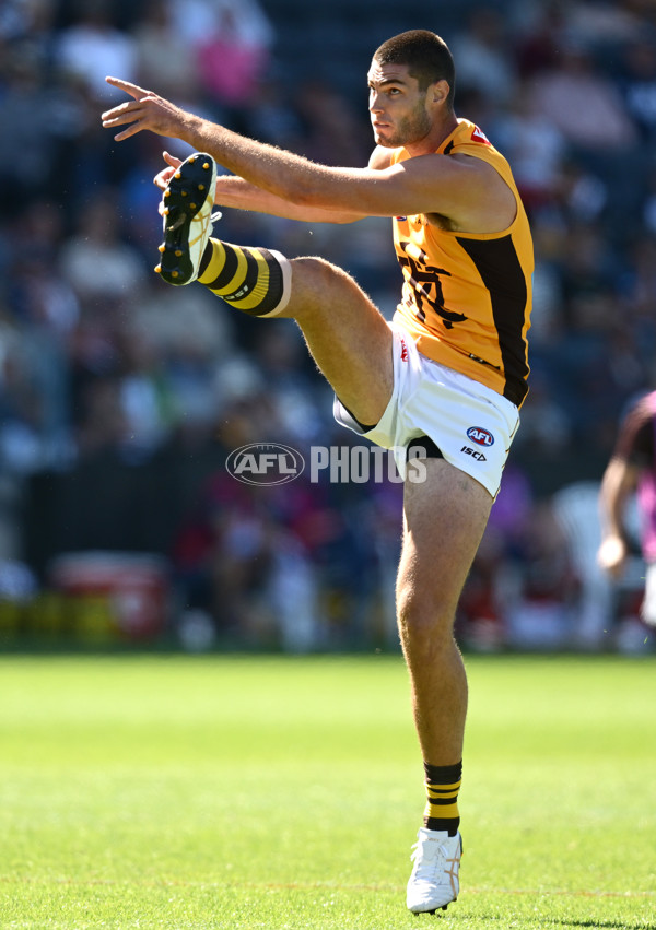 AFL 2025 Match Simulation - Geelong v Hawthorn - A-57497723