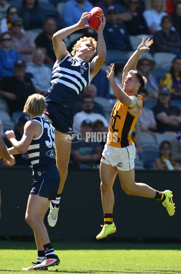 AFL 2025 Match Simulation - Geelong v Hawthorn - A-57497751