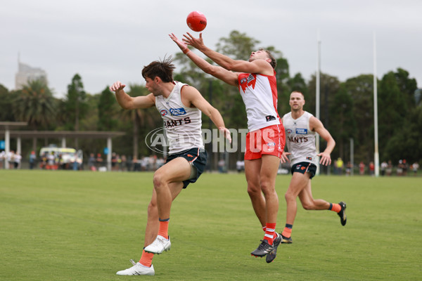 AFL 2025 Match Simulation - Sydney v GWS - A-57548639