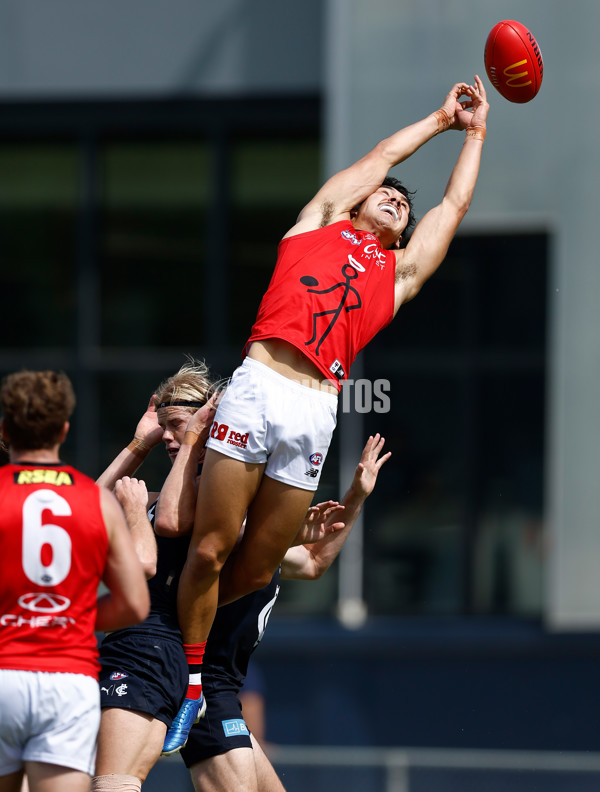 AFL 2025 Match Simulation - Carlton v St Kilda - A-57548672