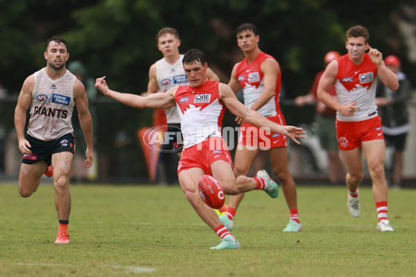 AFL 2025 Match Simulation - Sydney v GWS - A-57548673