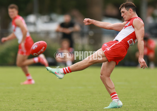 AFL 2025 Match Simulation - Sydney v GWS - A-57548769