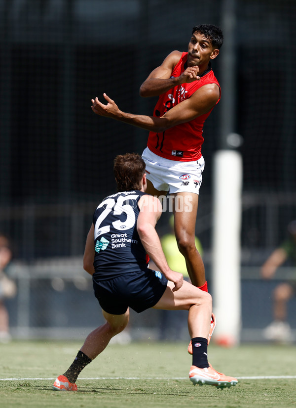 AFL 2025 Match Simulation - Carlton v St Kilda - A-57550855
