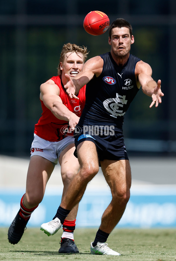 AFL 2025 Match Simulation - Carlton v St Kilda - A-57550864