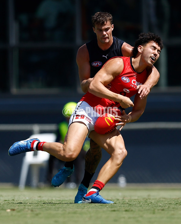 AFL 2025 Match Simulation - Carlton v St Kilda - A-57550881