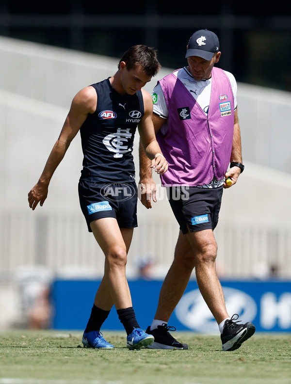 AFL 2025 Match Simulation - Carlton v St Kilda - A-57550888