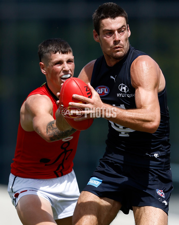 AFL 2025 Match Simulation - Carlton v St Kilda - A-57550900