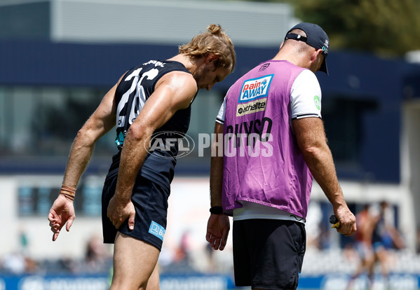 AFL 2025 Match Simulation - Carlton v St Kilda - A-57551446