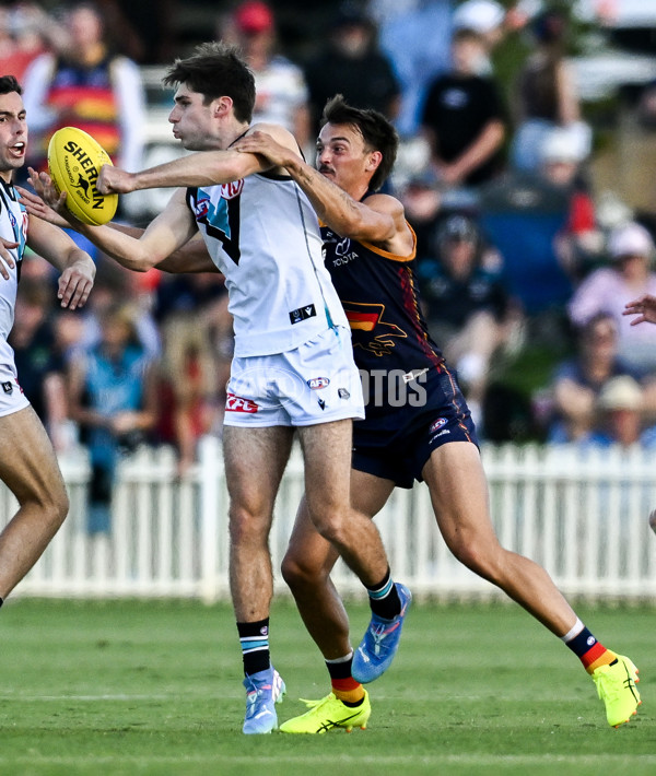 AFL 2025 Match Simulation - Adelaide v Port Adelaide - A-57551454