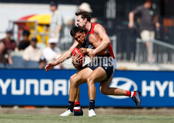 AFL 2025 Match Simulation - Carlton v St Kilda - A-57551473