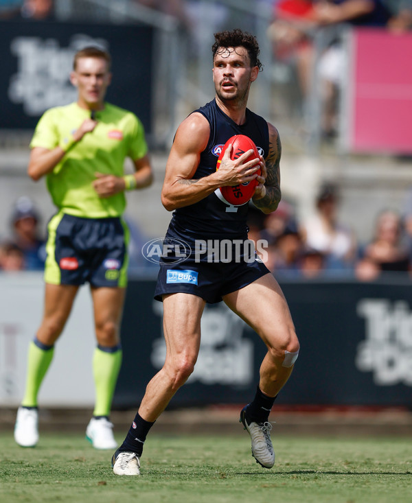 AFL 2025 Match Simulation - Carlton v St Kilda - A-57551487
