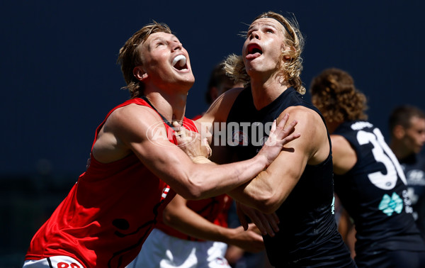 AFL 2025 Match Simulation - Carlton v St Kilda - A-57551497