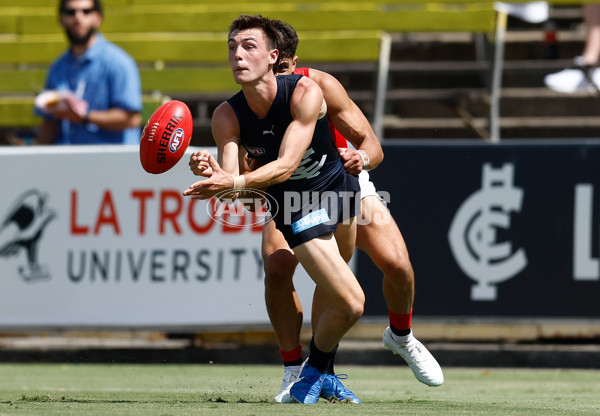 AFL 2025 Match Simulation - Carlton v St Kilda - A-57551506