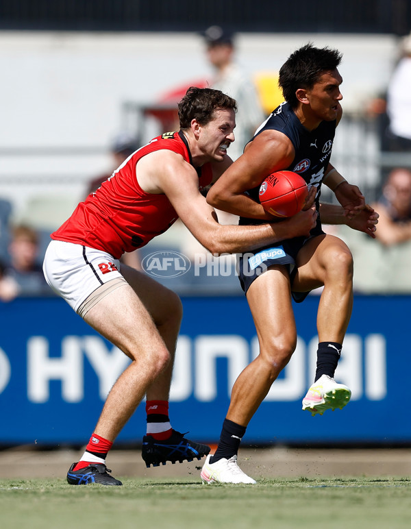 AFL 2025 Match Simulation - Carlton v St Kilda - A-57551509