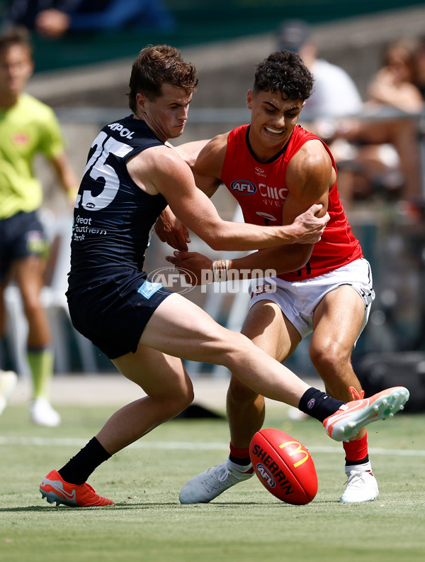 AFL 2025 Match Simulation - Carlton v St Kilda - A-57551825