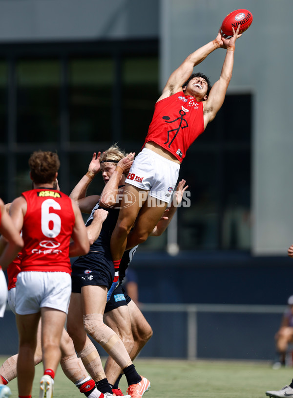 AFL 2025 Match Simulation - Carlton v St Kilda - A-57551837