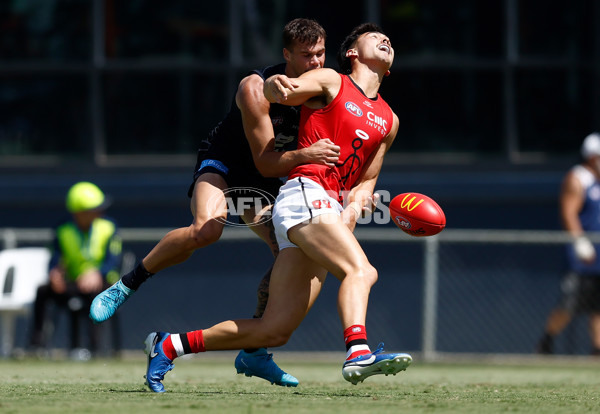 AFL 2025 Match Simulation - Carlton v St Kilda - A-57551852