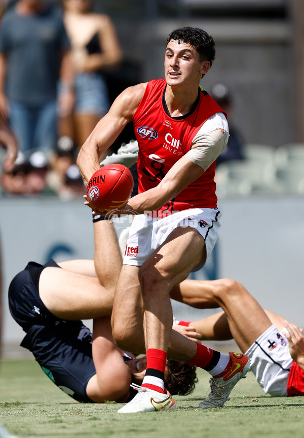 AFL 2025 Match Simulation - Carlton v St Kilda - A-57551858